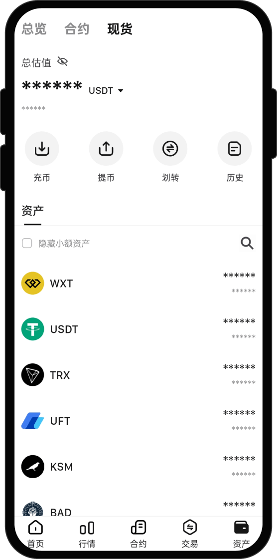 购买 Artificial Superintelligence Alliance (FET) 后我能做什么？